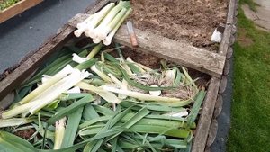 Готовим огород к зиме в природном земледелии.