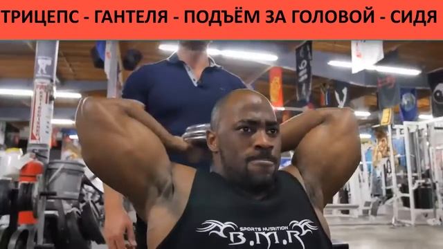 ТРИЦЕПС - ГАНТЕЛЯ - ПОДЪЁМ ЗА ГОЛОВОЙ - СИДЯ. смотреть онлайн