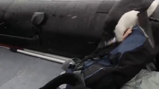 Нашлась Люся!