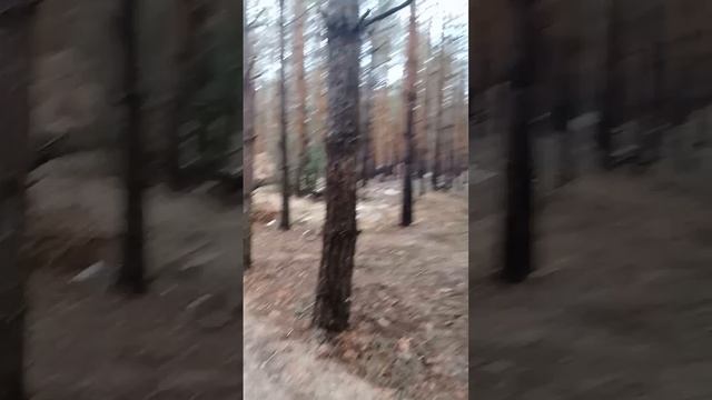 Природа и красота
