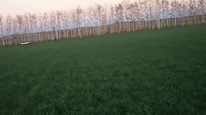 Терентьев А.С. полет на мотодельтоплане