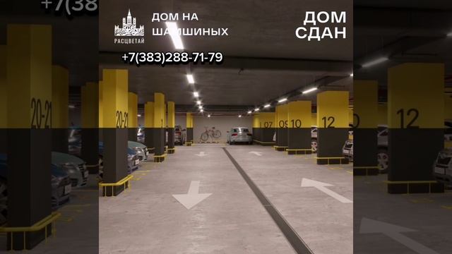 Расцветай?