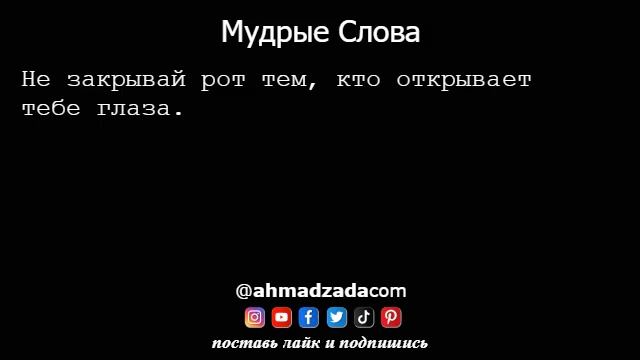 Мудрые Слова (6)