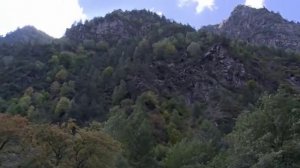 Охота на Кавказского тура.