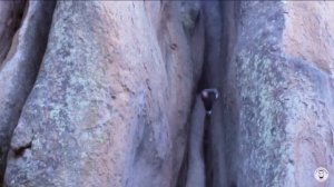 АНДРОНЫЧ.Красноярские столбы «Перья».#Shorts