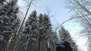 Снегоход Сталкер с характером эндурика. Прыжки. Ловлю драйв на лесной трассе.