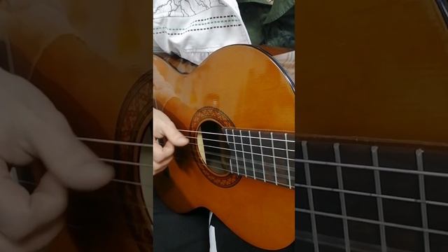 Игра щипком на гитаре для начинающих. Изгиб гитары жёлтой. Простые аккорды.