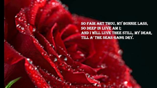 FYBA | English | RED ROSE By Robert Burns | Poem