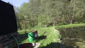 Рассада в мае. Теплица