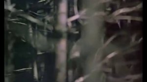 Красные пчёлы (1972) Русские скауты в советском кино.