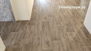 Укладка линолеума Таркетт Гладиатор Миллер 3 4х комнатная квартира новой планировки.