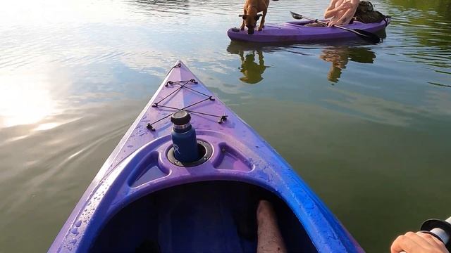 Poor Pupper's First Time on a Kayak || ViralHog смотреть онлайн