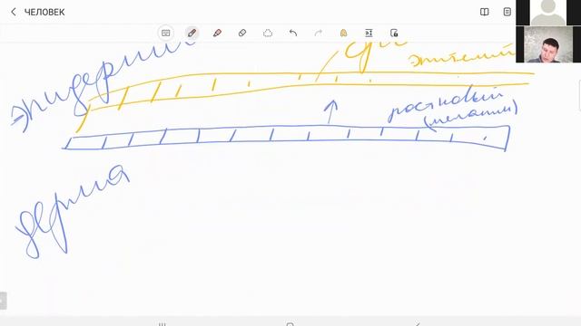 Дыхательная система (задачи) смотреть онлайн