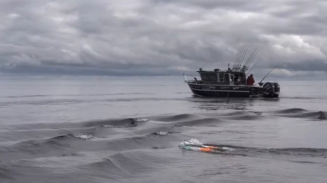 Катер из алюминия для рыбалки и экспедиций Cuddy King Weldcarft | Каютные катера смотреть онлайн