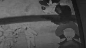 1975 год. Тюмень. Телевидение.