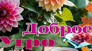 Встречай новый день в прекрасном настроении 😊💖С Добрым утром 💞💞💞