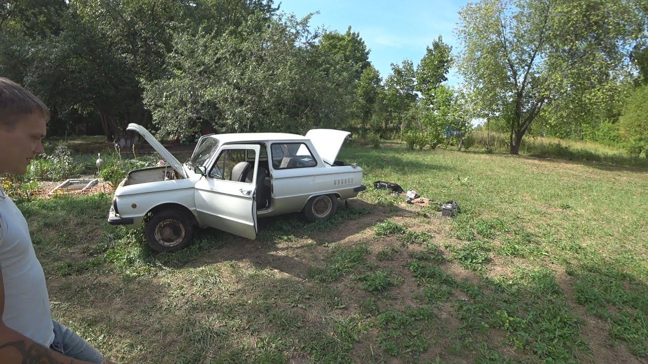 ОЖИВЛЕНИЕ ЗАПОРОЖЦА ПОШЛО НЕ ПО ПЛАНУ. АТТРАКЦИОН НА УЧАСТКЕ.