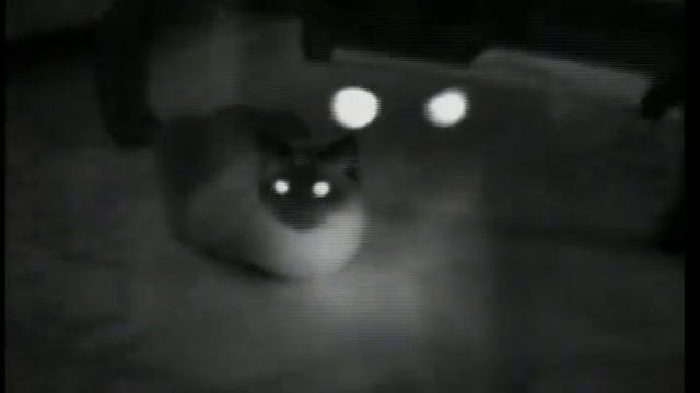 "The Cat Inside" - William S. Burroughs Tribute (1997) смотреть онлайн