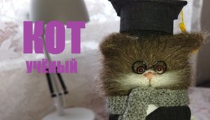 Игрушка кот учёный от рукодельницы распаковка и обзор