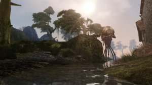 Morrowind Relaxing music