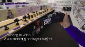 Canon EOS R8 Mirrorless Camera with RF 24-50mm f/4.5-6.3 IS STM Lens - Quick Look