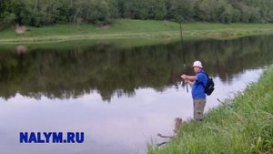 Рыбалка на Угре выше Юхнова, 17.05.2018 (болонская удочка)