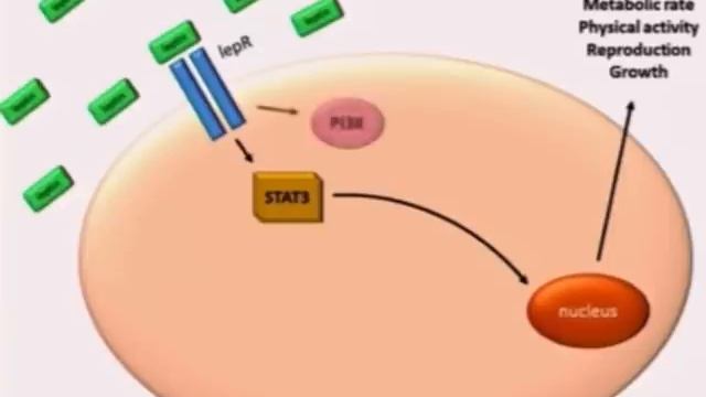 VIVIAMO IN UN MONDO PICCOLO PICCOLO смотреть онлайн