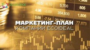 Маркетинг-план компании Ecoideal