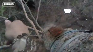 Он Пожалел об Этом! Встреча Медведя с Человеком Закончилась Этим..