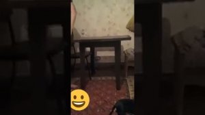 Как выгнать быстро гостей