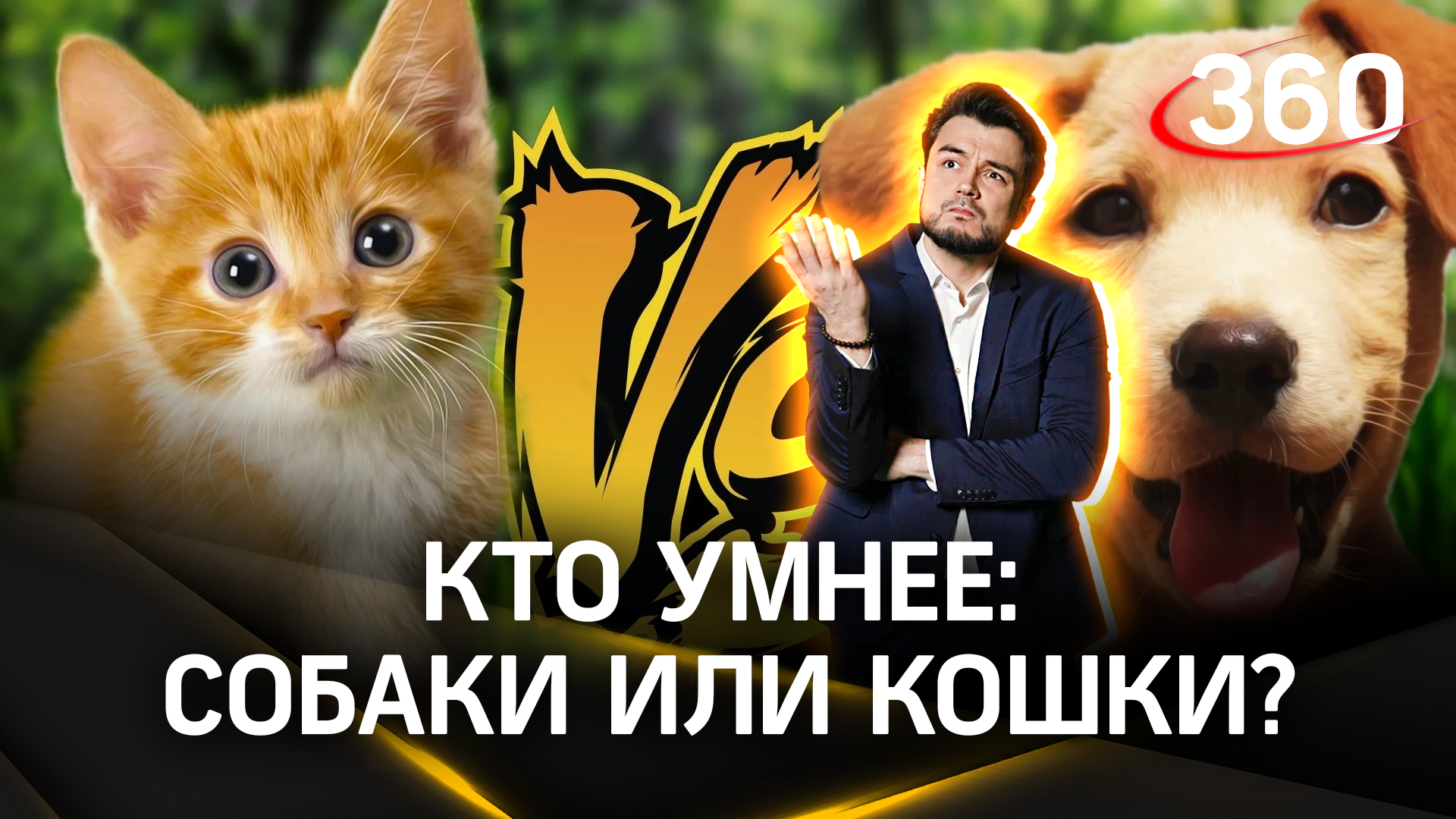 Кто умнее: собаки или кошки? Извечный вопрос! Ответ нашел Эльдар Рахимов в рубрике «Научпоп»