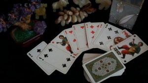 Что такое «Казенный дом» в игральных картах/Ида Бранэр