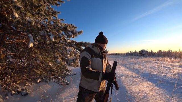 Загонная охота на лося. Стоит ли стрелять дальше 100 метров? Охота 2021.