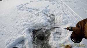 САМАЯ УЛОВИСТАЯ СНАСТЬ НА ОКУНЯ! Секретная проводка на ОКУНЯ