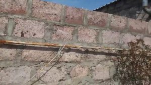 Обрезка ГРАНАТА - ЧИТАЙ ОПИСАНИЕ УЗНАЕШЬ КАК