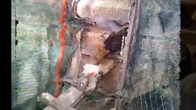 Цыплята 42 день Первая ночь на улице смотреть онлайн