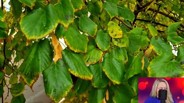 Стюардесса-сирота помогла богатой пассажирке в бизнес-классе. Но когда Лилия увидела татуировку...