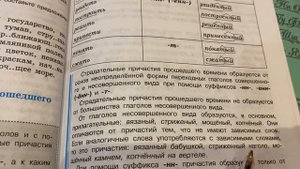 Русский язык/7 кл/Страдательные причастия прошедшего времени/11.11.21