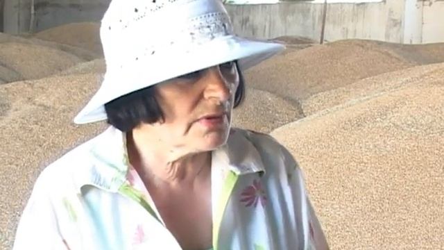 Аграрии Харьковщины завершают уборку ранних зерновых