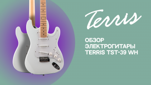 Обзор электрогитары TERRIS TST-39 WH