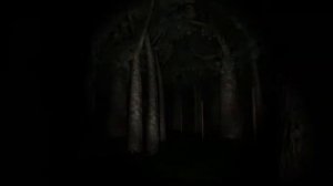 Slender  The Eigh Pages C Mr_Dima