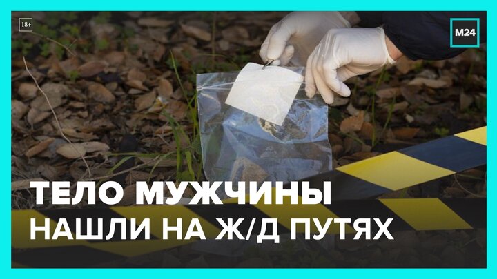 Тело мужчины нашли на ж/д путях около станции Лосиноостровская - Москва 24