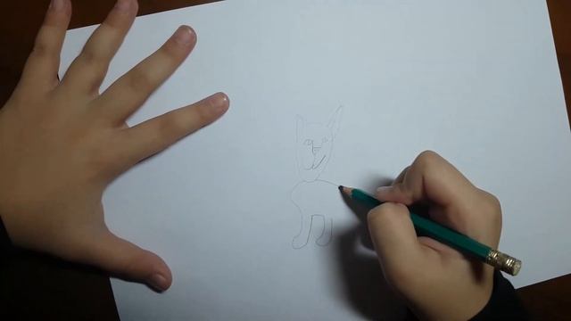 Как нарисовать кота смотреть онлайн