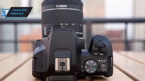 Топ-5 лучших фотоаппаратов для начинающих в [2024] году