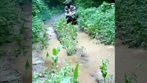 Проходимость 200 кубового квадроцикла