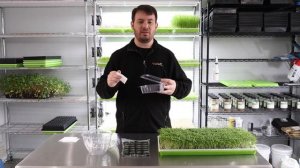 What is the Shelf Life of Microgreens?