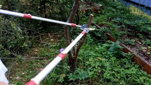 Сучкорез Mr.Logo (Мистер Лого) в деле