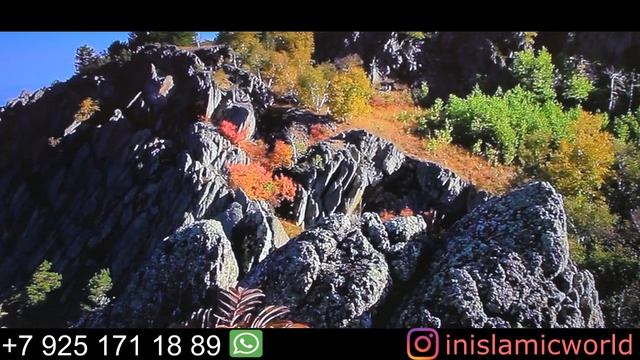 ВСЕГДА, ВСЕГДА УПОВАТЬ НА АЛЛАХА! И АЛЛАХ ОТКРОЕТ ТЕБЕ ДОРОГУ! смотреть онлайн