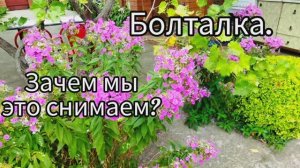 Болталка. За чем мы это снимаем? Где лучше покупать автомобиль при переезде на юг?