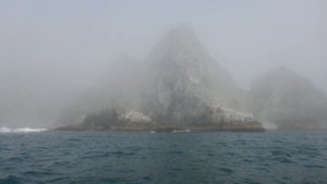 Камчатка. июль-август 2022 года
